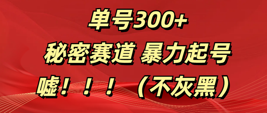 单号300+  秘密赛道 暴力起号  （不灰黑）-瑞创网