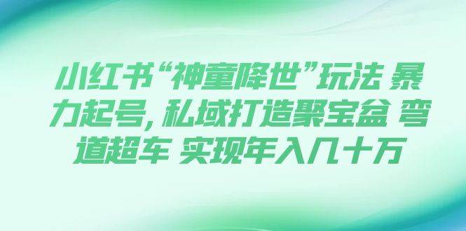 小红书“神童降世”玩法 暴力起号,私域打造聚宝盆 弯道超车 实现年入几十万-瑞创网