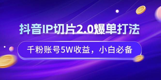 抖音IP切片2.0爆单打法，千粉账号5W收益，小白必备-瑞创网