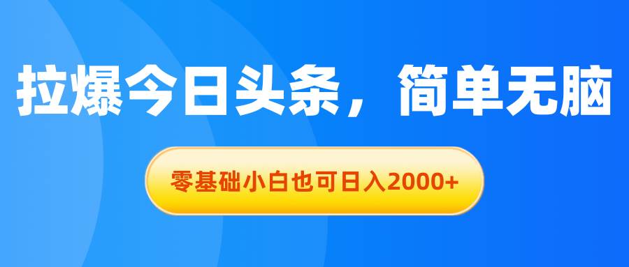 拉爆今日头条，简单无脑，零基础小白也可日入2000+-瑞创网