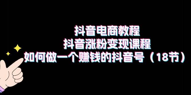 抖音电商教程：抖音涨粉变现课程：如何做一个赚钱的抖音号（18节）-瑞创网