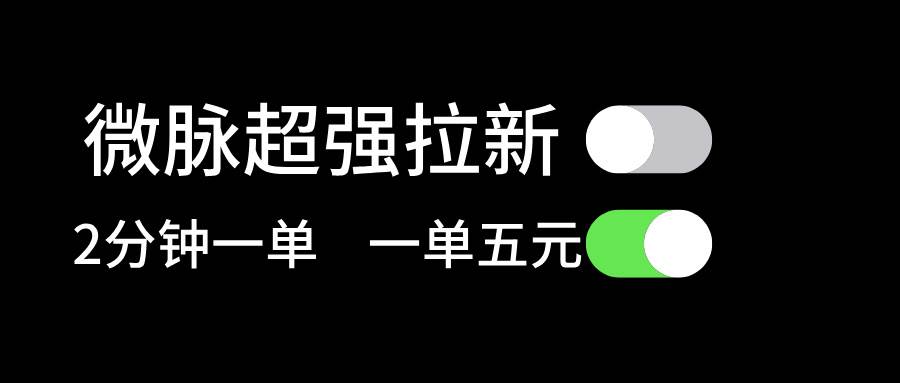 微脉超强拉新， 两分钟1单， 一单利润5块，适合小白-瑞创网