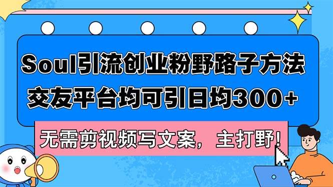 Soul引流创业粉野路子方法，交友平台均可引日均300+，无需剪视频写文案…-瑞创网